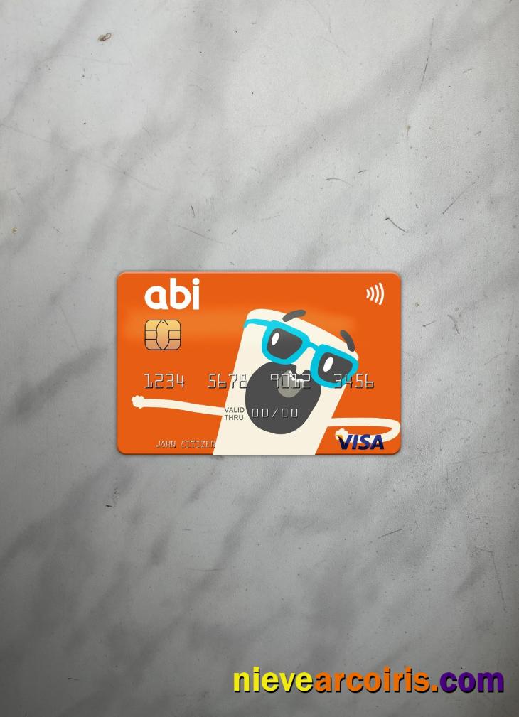 Albania American Bank of Investments (ABI) visa card photolook